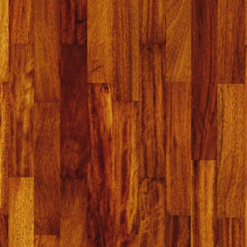 Iroko
